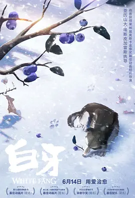 久久精品国产99国产精品澳门